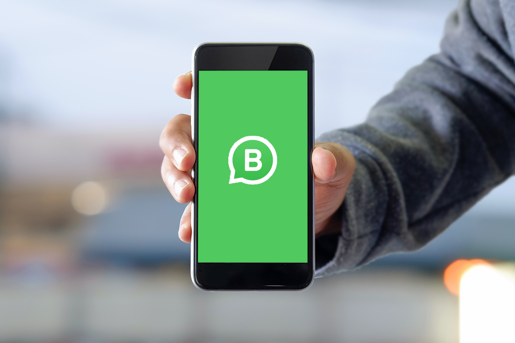 Whatsapp Busines para envio de mensagens comerciais em massa