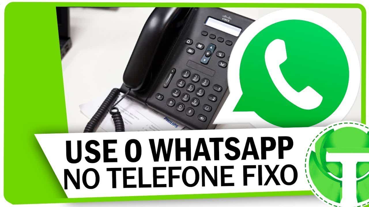 landline whatsapp